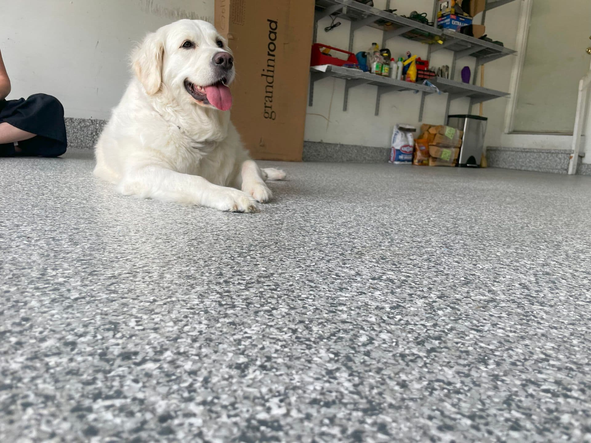dog-laying-on-garage-floor-coating-2048x1536